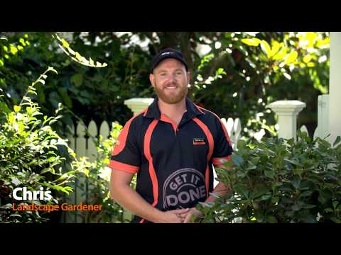 Autumn Clean Up | Mitre 10 Easy As Garden