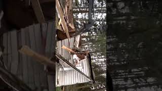 Bye bye old shed by grberglund 49 views 1 year ago 3 minutes, 10 seconds