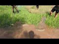 Brave hunter confronts 200 kg giant python