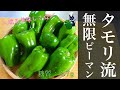 【ピーマン大量消費！】「タモリ流無限ピーマン」の作り方【作り置きレシピ】Low Carb Green Papper Recipe