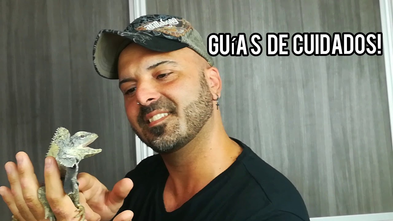 Canal de ANIMALES!SERGIO EXOTICS!