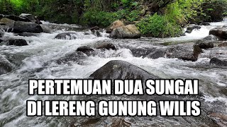 Sungai Tempuran Keindahan Tersembunyi di Taman Kelir Gunung Wilis Kediri
