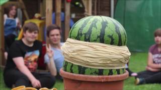 Exploding Watermelon challenge. Melon Vs Rubber bands