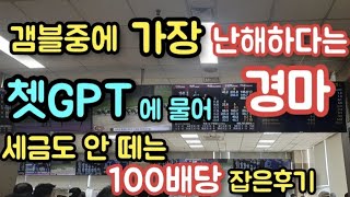 이제 복잡한 경마도 쳇GPT에 물어 베팅하면 됩니다 screenshot 4