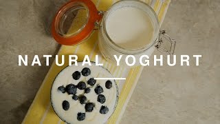 Greek Live Yoghurt - Kitchen Essentials | Wild Dish