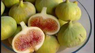 KURTALAN TANITIM KÖY KÖY HARİKA Bİ ANLATIM.