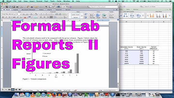 How to Properly Format a Formal Lab Report - II (Figures)