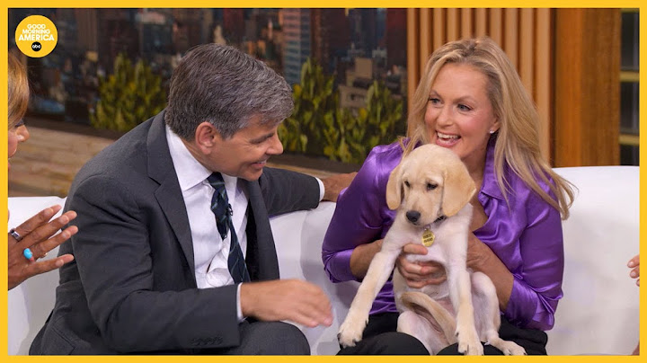 Meet the newest member of George Stephanopoulos' household