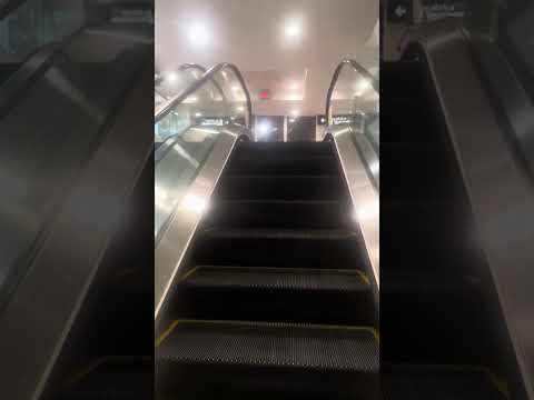 World’s Slowest Escalator