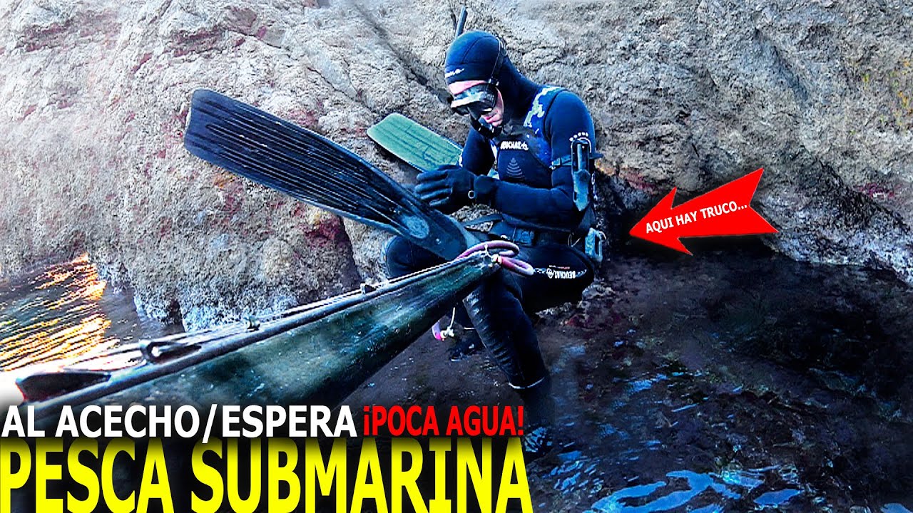 PESCA SUBMARINA AL ACECHO+ESPERA en POQUÍSIMA AGUA. 