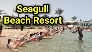 :   Seagull Beach Resort   hotels in Egypt family  hotels in Hurghada/