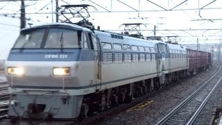 JR貨物 EF66-111+EF66-116 重連貨物列車 (月曜1353レ) 清洲駅 貨物専用線