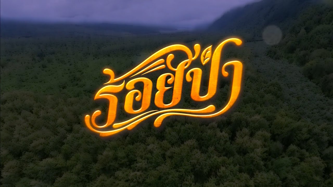ร้อยป่า (Rerun) เริ่มตอนแรก 13 ธ.ค.63 ร้อยป่า (Rerun) เริ่มตอนแรก 13 ธ.ค.63