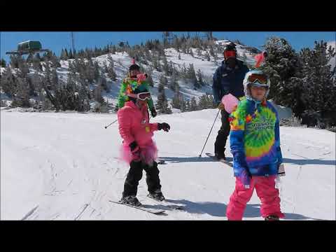 Video: 5 Nejlepších Lyžařských A Snowboardových Tašek Pro Rok 2021