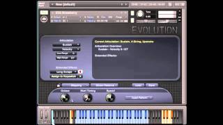 Evolution Electric Guitar Strawberry - Using Strum Patterns Legacy