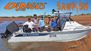 Dingus vs Sawfish