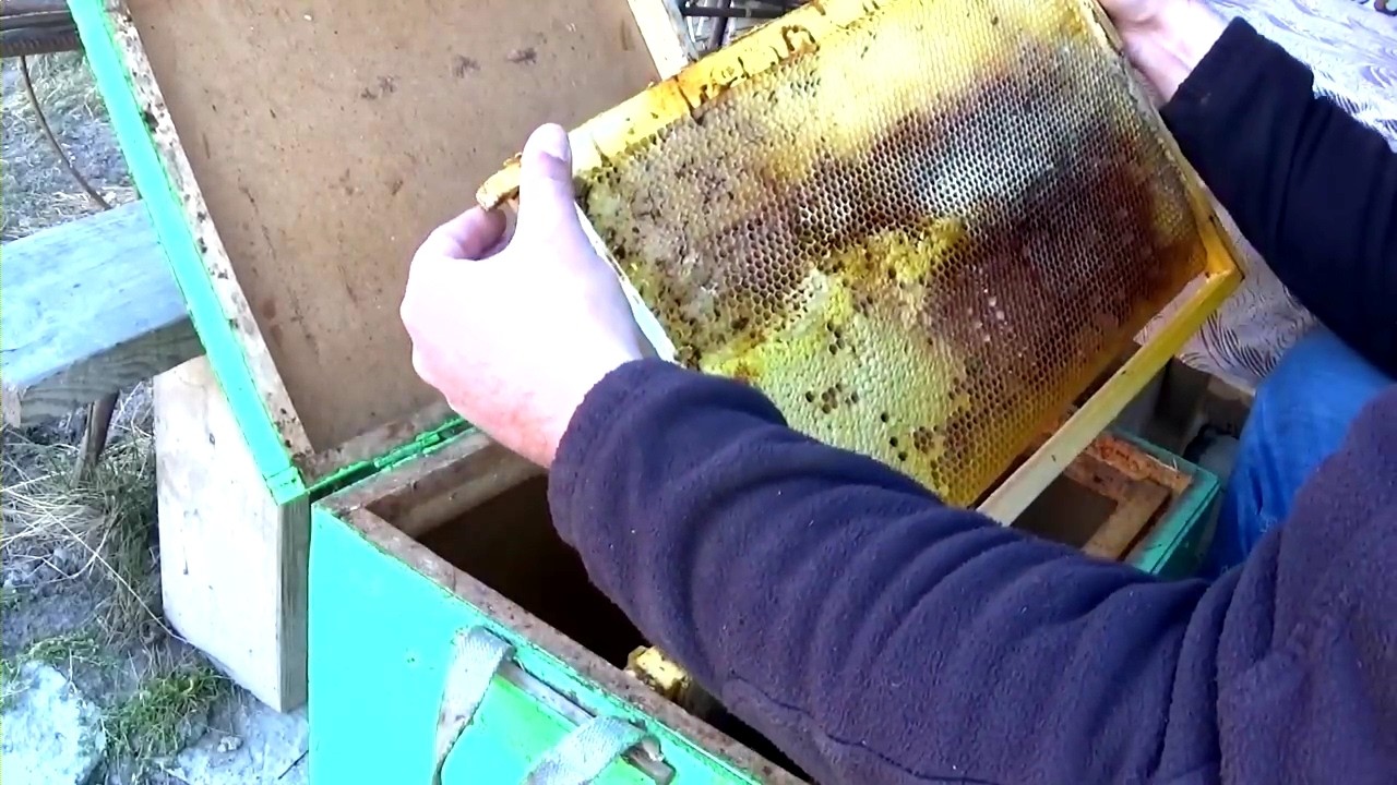 ПРОШЛОГОДНИЙ МЁД в рамках избавиться ЛЕГКО ( закристаллизованный мёд в сотах) самый простой вариант.