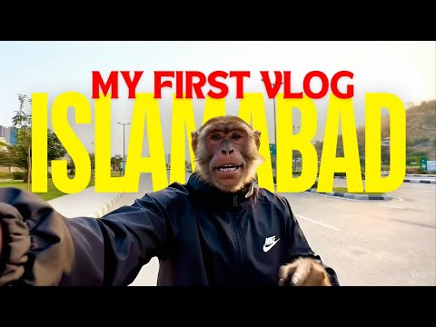 Micky bhai 1st Vlog || Ai monkey Vlog || I Will go to the Mall || ai monkey shorts