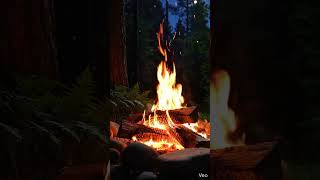 Relaxing #music #spacemusic #sunset #relax #spacemusicproduction #space #musiquerelaxantecourte