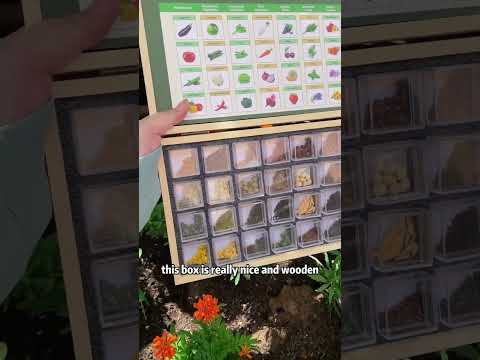 Custom zone seedkit