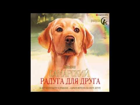 #Аудионовинка| Михаил Самарский «Радуга для друга» - YouTube