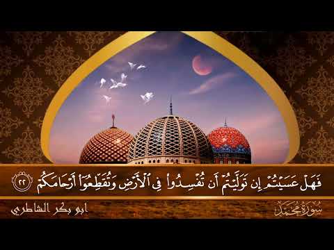 سورة محمد جودة عالية القارئ الشيخ ابو بكر الشاطري