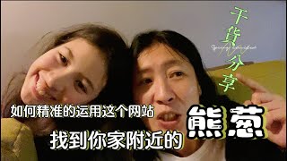 2024.03.03， 其实德国也好多活雷锋的，还是有很多德国及周边的小伙伴们不知道这个分享采摘点的网站Mundraub 。 详解如何用它精准的找到你家附近的熊葱以及我实用时的一些忌惮。