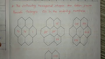 #samacheer kalvi  #7th std mathematics  #term-2  #chapter-5 #Information processing #Exercise 5.2