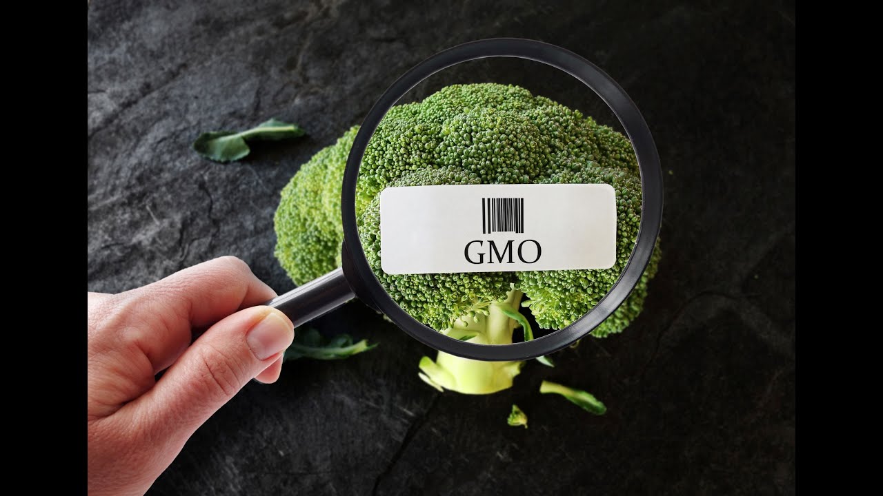 Arendalsuka 2025: "Genmat" i Norge - trussel eller mulighet?