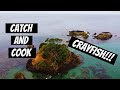 Crayfish Catch and Cook, Northland, New Zealand, Shore Dive Spearfishing