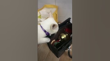 ngày 2 tháng 5, 2023