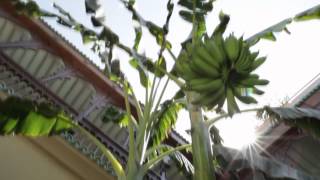 Demeures Dorient Luxury Riad Spa