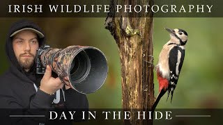 *WOW*  Irish Wildlife Photography Hide !