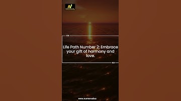 Unlocking the Power of Life Path Number 2: Traits, Challenges, and Success #lifepathnumber