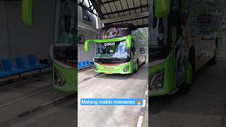 Line Perdana Restu Panda Pomalporis-Malang