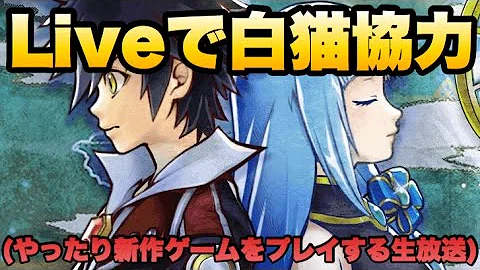 白猫 勇者 協力 白猫 勇者 協力