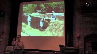 Four Commodities Tomato Module: On-farm Mitigation Strategies for Tomato Growers