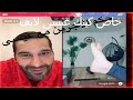 كينك عيسى لايف جديد تيك توك كينك عيسى لايف جديد تيك توك