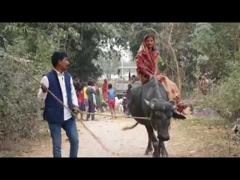 रमखेलना क भैस उठल//maithili Comedy//
