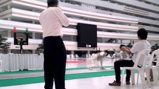 20110918_153644.mp4