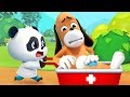 Kumpulan Film Bayi Panda | Kartun Bayi Panda Lucu | BabyBus Bahasa Indonesia