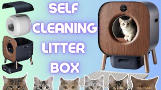 Avoid the Litter Boxes Mess:  PAWBBY P1 Ultra SelfCleaning Cat Litter Box Review