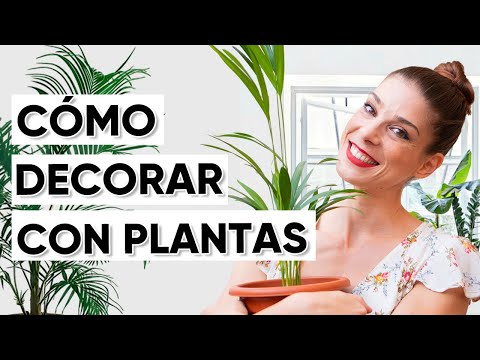 Video: Decoración Brillante Y Elegante De Plantas De Bañera