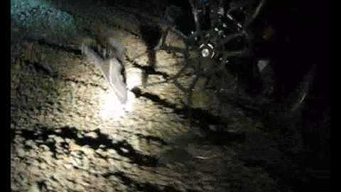 CESAR Robot - Best of ESA Lunar Robotics Challenge