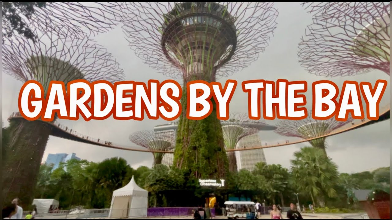 Gardens By The Bay Singapore | Stunning Supertree Grove Night Light Show