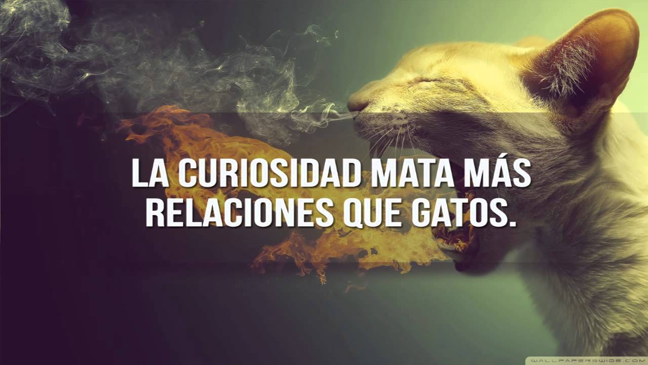 Las mejores frases chidas - YouTube