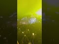 Taambdi Chaamdi at the @spotifyindia #spotifyrap91live event was fire 🔥🇮🇳 #spinninrecords #outnow