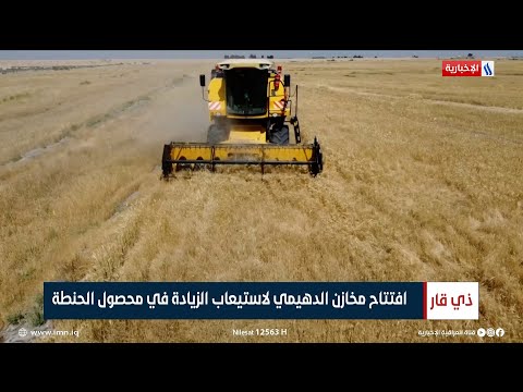 ذي قار افتتاح مخازن الدهيمي لاستيعاب الزيادة في محصول الحنطة تقرير لؤي الرفاعي