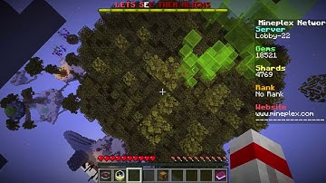 attempting to climb up the minecraft mineplex tree while intoxicated
