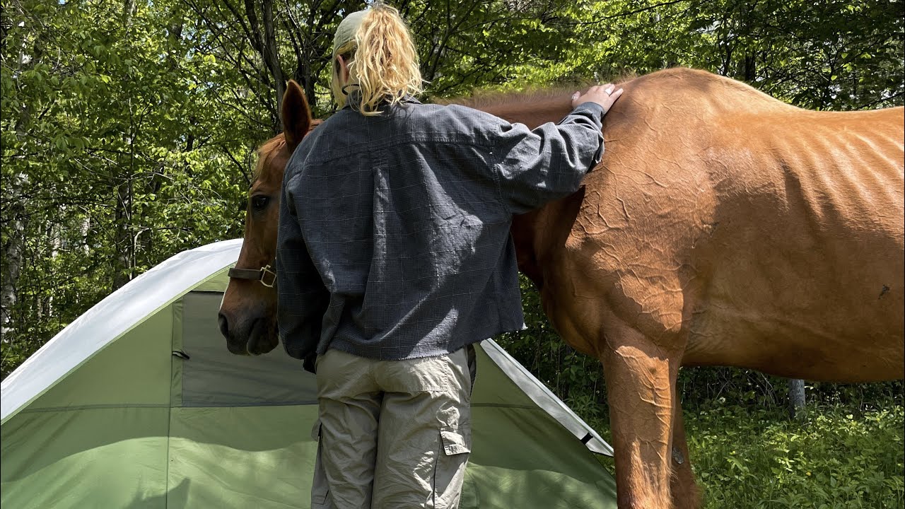 Camping At The Farm